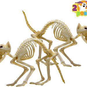2Pcs Halloween Cat Skeleton with Tail
