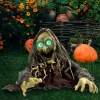 Animated Halloween Witch Ground Breaker