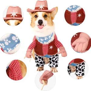 Cowboy Halloween Costumes for Dogs