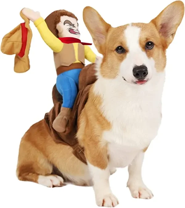 Cowboy Riding Dog Halloween Costume