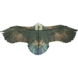 1Pcs Eagle Kite