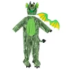 Kids Dragon Halloween Costume