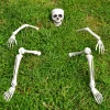 Life Size Light Up Skeleton for Outdoor Decoration