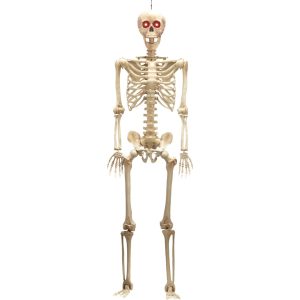 Posable Life Size Skeleton with Red Light Eyes 60in