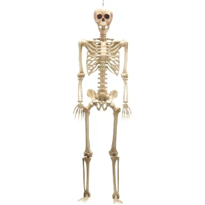Posable Life Size Skeleton with Red Light Eyes 60in