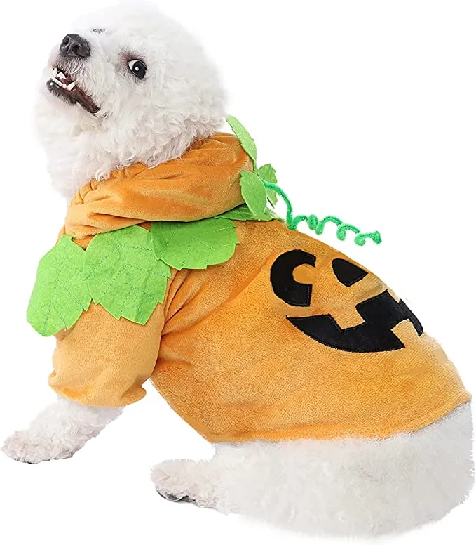 Pumpkin Halloween Costume for Cats and Dogs