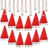12pcs Christmas Premium Santa Hat with Necklace