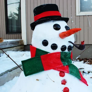 Christmas Snowman Decorating Kit