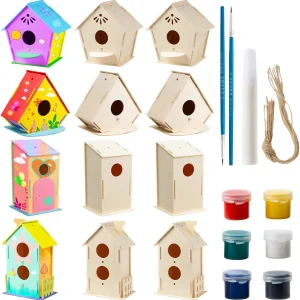 Wooden Birdhouse Painting Kit – KLEVER KITS