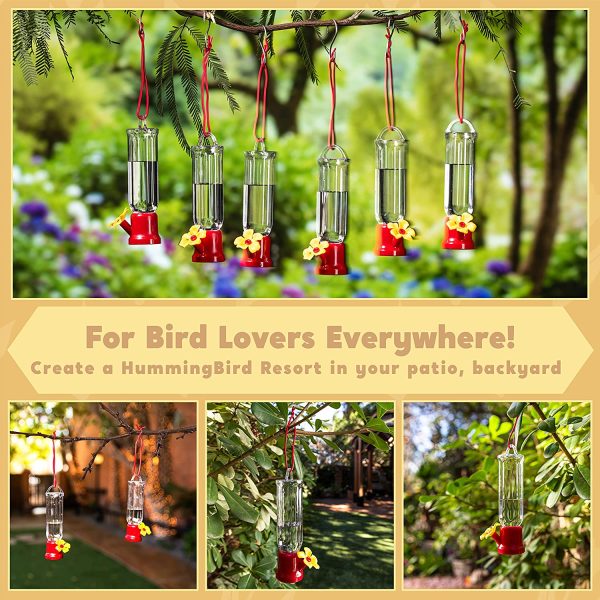 Mini Hummingbird Feeders with Hanging Wires, 6 Pcs
