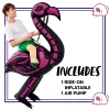 Adult Unisex Inflatable Ride on Flamingo Halloween Costume