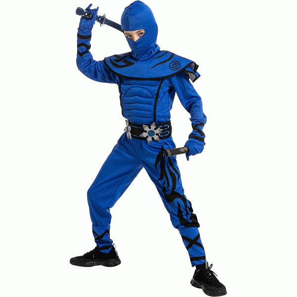https://www.joyfy.com/wp-content/uploads/2022/08/Child-Boy-Blue-Ninja-Kungfu-costume-5-600x600.gif