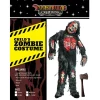 Kids Halloween Deluxe Zombie Costume