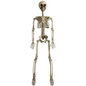 Halloween Decorations Posable Skeletons 36in