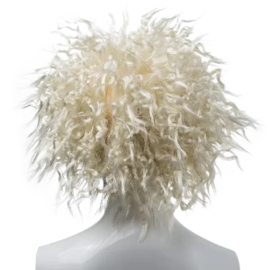 Albert Einstein Wig Costume Accessories