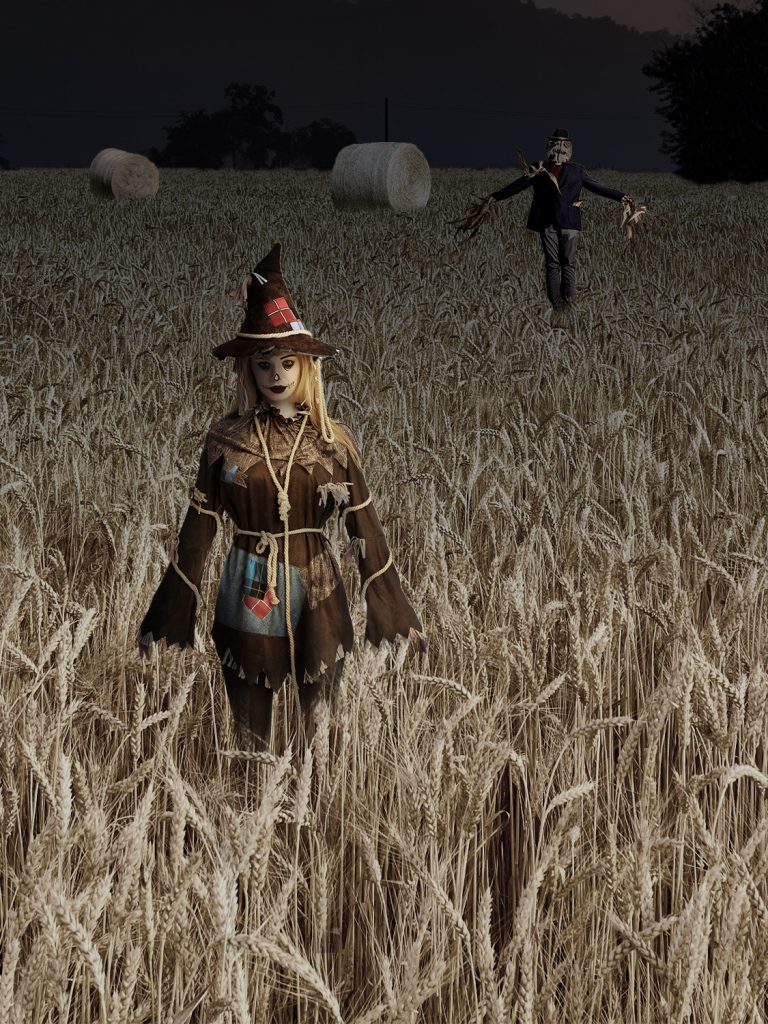 Scary scarecrow costum