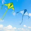 3Pcs Big Delta Kite with 262.5ft Kite String