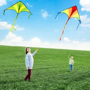 3Pcs Big Delta Kite (Green & Blue & Rainbow) with 262.5ft Kite String