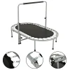 Oval Foldable double trampoline with handrail