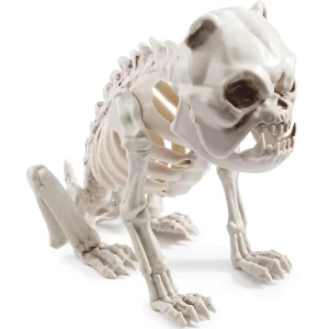 Halloween Plastic Dog Skeleton 11in