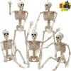 JOYIN 5 PCS Posable Halloween Skeletons 16 Inches Full Body Posable Joints