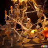 5pcs Halloween Hanging Skeleton 16in