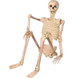 Halloween Full Body Posable Skeleton 63in