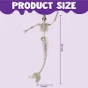 4 PCS 20in Halloween Mermaid Skeleton Plastic Bones with Posable Joints