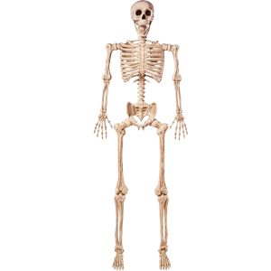 Enjoyable Gathering 5.6 FT Life Size Skeleton Full Body with Posable Joints