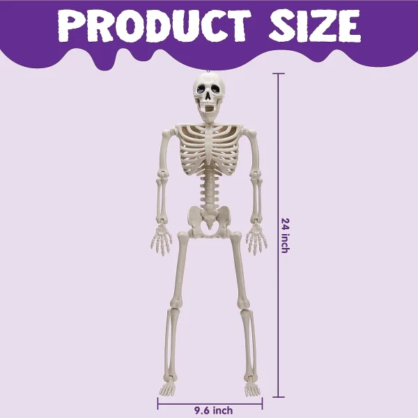2 PCS 24in Halloween Full Body Posable Skeletons Human Plastic Bones with Movable Joints