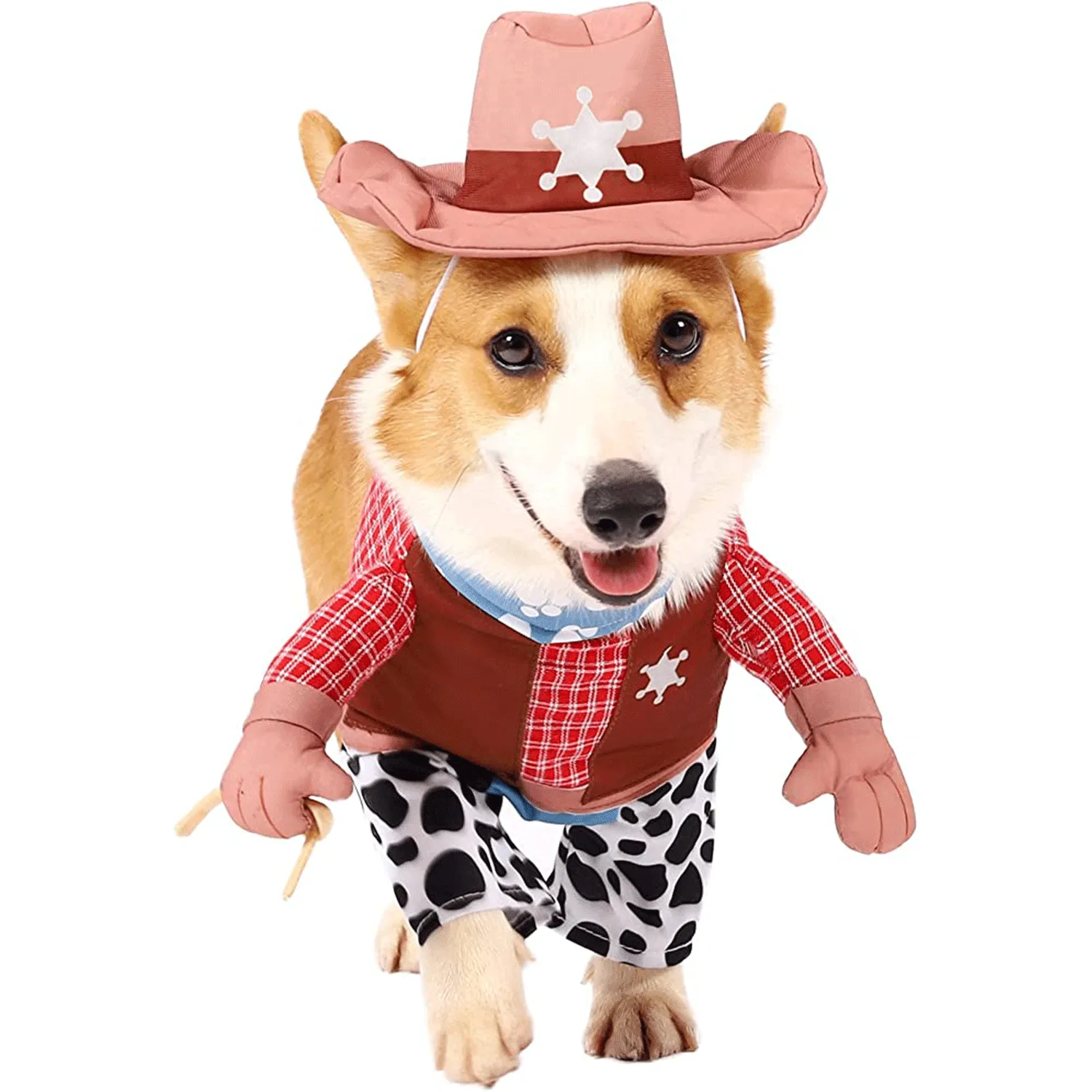 You are currently viewing What Are Favorite Halloween Costumes for Pets?