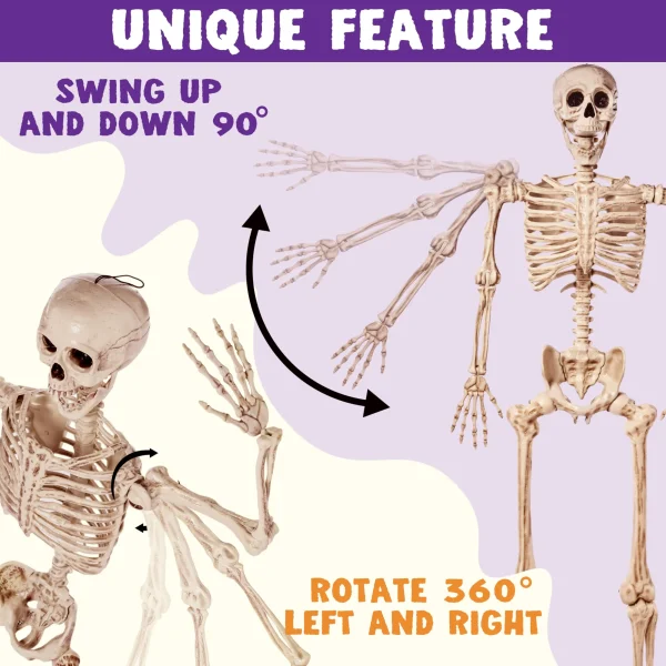 5.6ft Halloween Posable Life Size Skeleton