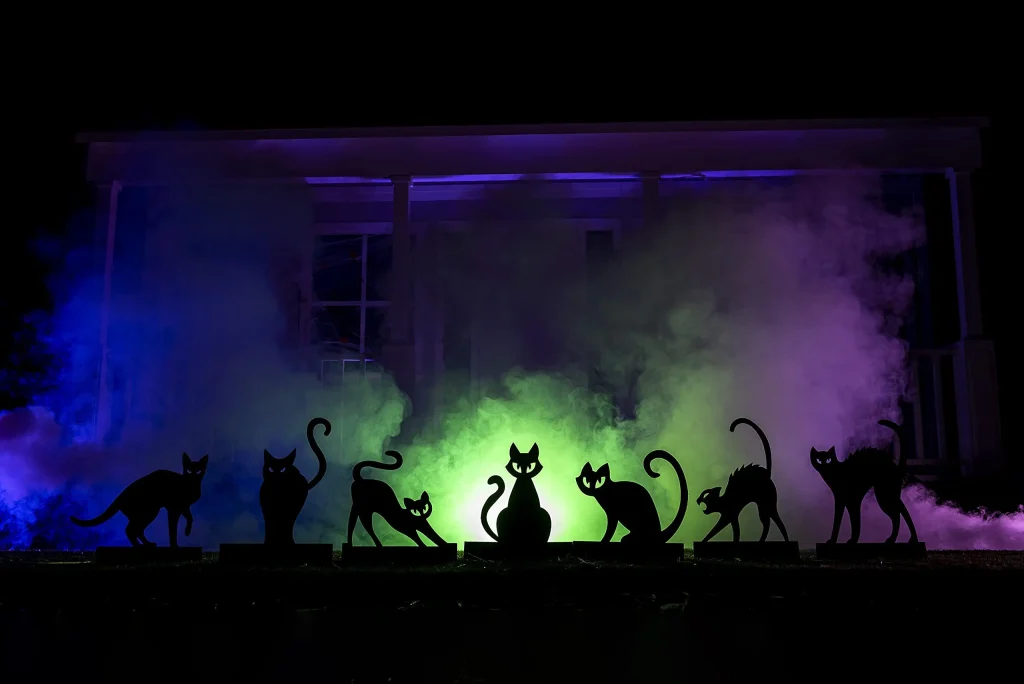 The Symbolism of Black Cats in Halloween