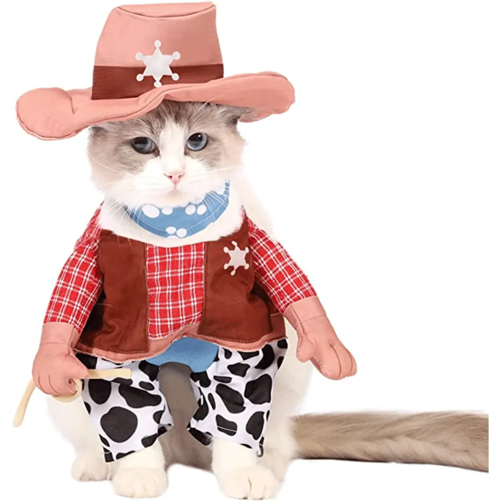 Cat Pink Cowboy Halloween Costume