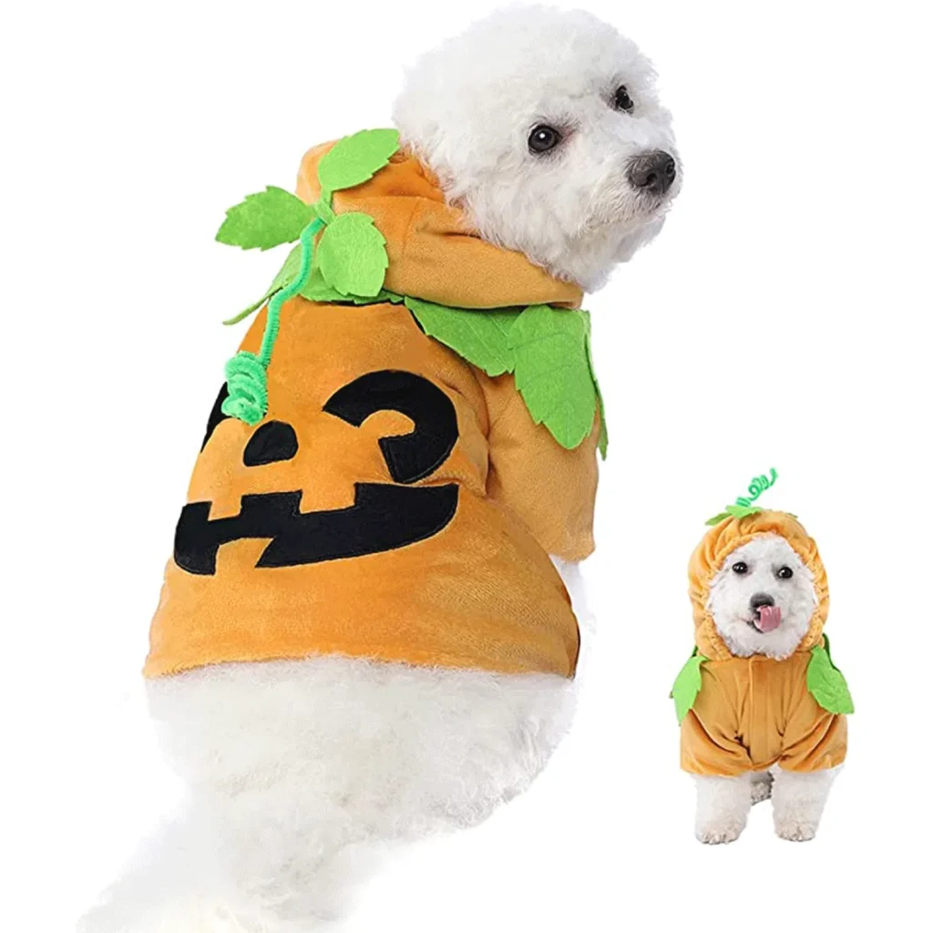 Pet pumpkin costume