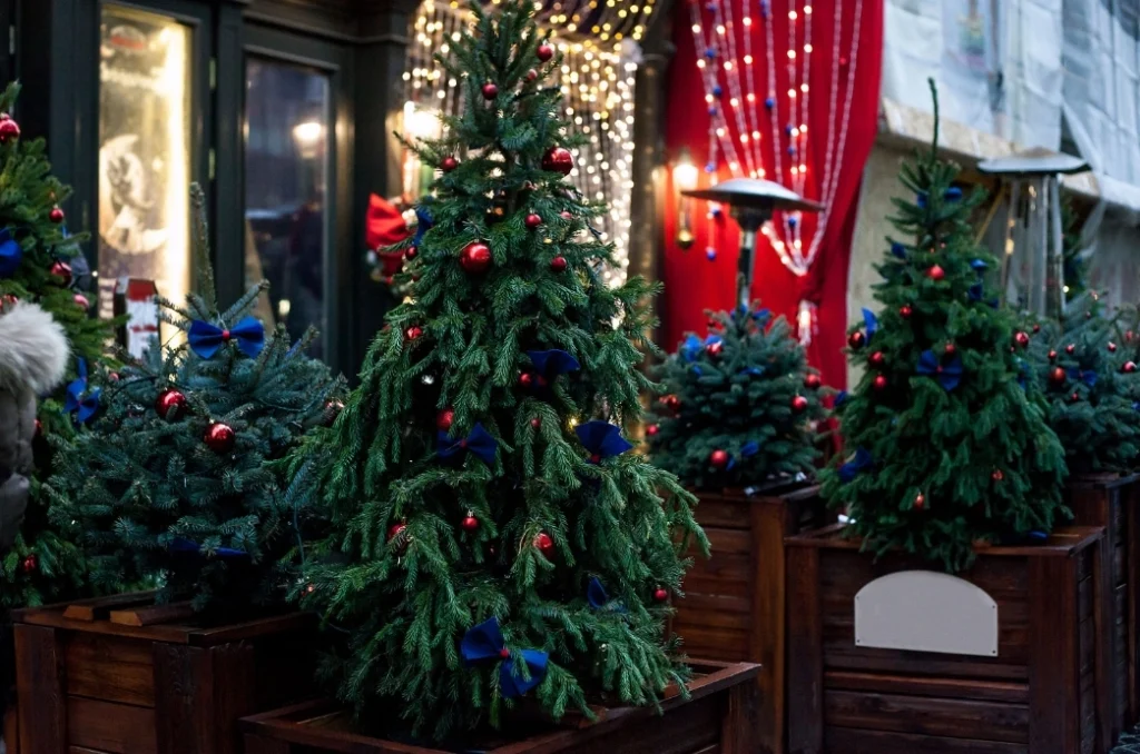 How to Decorate Outdoor Trees for Christmas